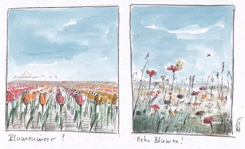 Cartoon: Das Blumenmeer... (medium) by Jori Niggemeyer tagged bienen,bienensterben,monokultur,wiesen,blühen,vielfalt,natur,bienen,bienensterben,monokultur,wiesen,blühen,vielfalt,natur