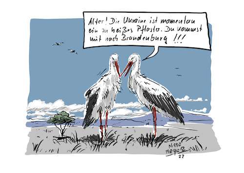 Cartoon: Zu uns... (medium) by Jori Niggemeyer tagged zugvögel,gastfreundschaft,solidarität,störche,afrika,ukraine,standwithukraine,stopputin,stopwar,sicherheit,brandenburg,spreewald,humor,joricartoon,niggemeyer,cartooon,cartoonart,illustration,illustrator,karikatur,satire,cartoondrawing,witzigebilder,cartoon,zugvögel,gastfreundschaft,solidarität,störche,afrika,ukraine,standwithukraine,stopputin,stopwar,sicherheit,brandenburg,spreewald,humor,joricartoon