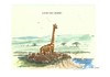 Cartoon: ICH BIN DER GRÖßTE (small) by Jori Niggemeyer tagged giraffe,nilpferde,afrika,savanne,karikatur,fluss,einbildung,bewusstsein,niggemeyer,joricartoon,cartoon