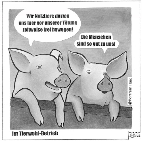 Cartoon: Im Tierwohl-Betrieb (medium) by BAES tagged tiere,schweine,tierwohl,nutztiere,freiheit,natur,menschen,schlachten,tierschutz,landwirtschaft,fleischwirtschaft,leben,tiere,schweine,tierwohl,nutztiere,freiheit,natur,menschen,schlachten,tierschutz,landwirtschaft,fleischwirtschaft,leben