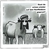 Cartoon: Coole Kühe (small) by BAES tagged hanf,kuh,kühe,joint,gras,marihuana,wiese,reggae,bob,marley,landwirtschaft,tiere