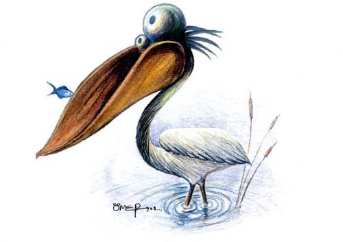 Cartoon: pelican (medium) by omer cam tagged pelican