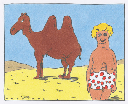 Cartoon: urlaubsfoto (medium) by Andreas Prüstel tagged urlaub,ferien,fernurlaub,kamel,gleichnis,urlaub,fernurlaub,kamel,gleichnis,ferien