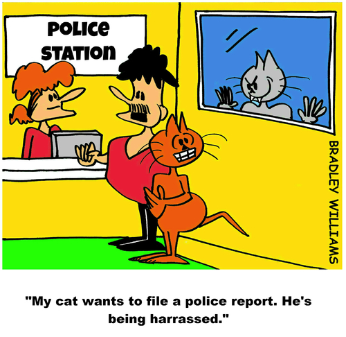 Cartoon: Harrassed (medium) by Cartoonist USA tagged harrassed,police,cat,cartoon,comic