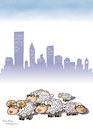 Cartoon: sheep brains and city (small) by handren khoshnaw tagged handren khoshnaw brains sheep cartoon education culture
