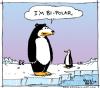 Cartoon: Bi-Polar (small) by JohnBellArt tagged bipolar polar bear penguin arctic antarctica cold confused