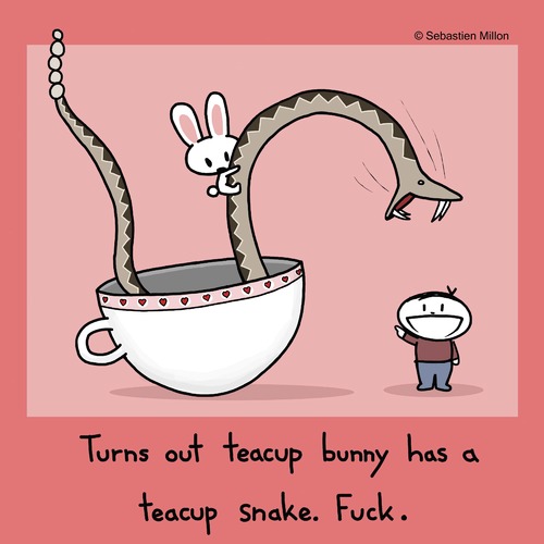 Cartoon: Teacup Bunny and Teacup Snake (medium) by sebreg tagged rabbit,bunny,silly,macabre,dark,humour,teacup