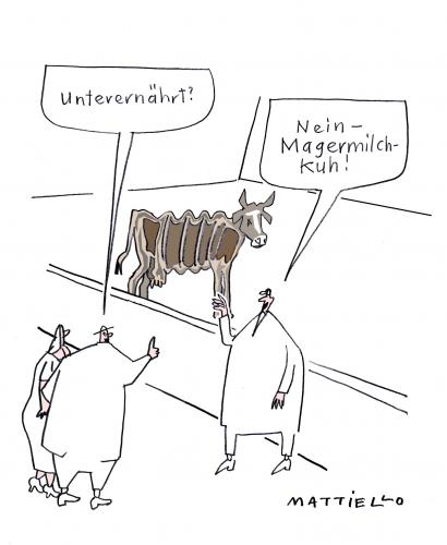 Magermilchkuh