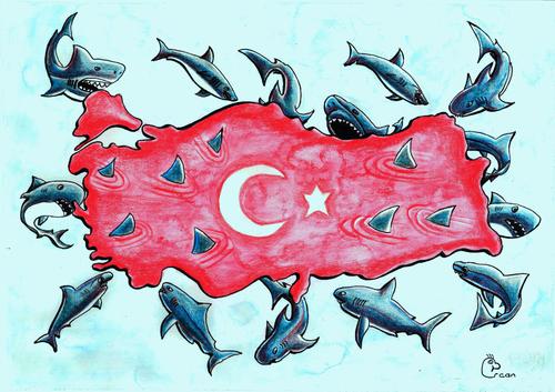 Cartoon: TURKEY (medium) by Ercan Yavuz tagged turkey