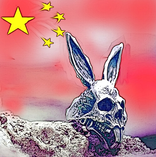 Cartoon: year of the rabbit (medium) by ab tagged china,cina,year,jahr,sign,zeichen,hase,rabbit,astrologie