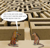 Cartoon: im versuchslabor (small) by ab tagged labyrinth,ratte,versuch,käse