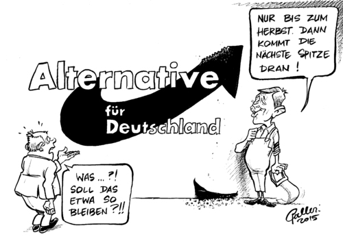 AfD-Spitzen