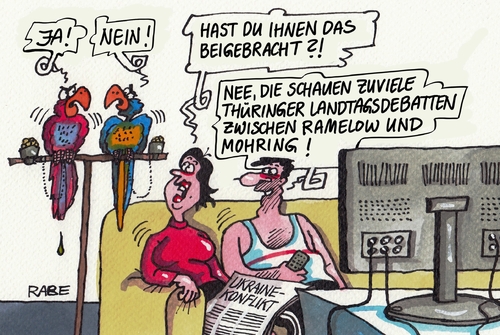 Cartoon: Debatte (medium) by RABE tagged ramelow,mohring,thüringen,landtag,debatte,cdu,linke,erfurt,rabe,ralf,böhme,cartoon,karikatur,pressezeichnung,farbcartoon,tagescartoon,papagei,ehepaar,couch,ramelow,mohring,thüringen,landtag,debatte,cdu,linke,erfurt,rabe,ralf,böhme,cartoon,karikatur,pressezeichnung,farbcartoon,tagescartoon,papagei,ehepaar,couch