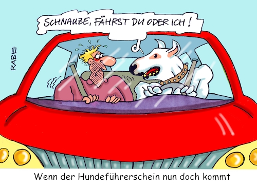 Cartoon: Führerschein (medium) by RABE tagged hund,hundeführer,herrchen,hundeführerschein,führerschein,rabe,ralf,böme,cartoon,karikatur,pressezeichnung,farbcartoon,tagescartoon,auto,hundetrainer,listenhunde,eignungstests,hundeprofi,tierschutz,halter,hundeleine,hund,hundeführer,herrchen,hundeführerschein,führerschein,rabe,ralf,böme,cartoon,karikatur,pressezeichnung,farbcartoon,tagescartoon,auto,hundetrainer,listenhunde,eignungstests,hundeprofi,tierschutz,halter,hundeleine