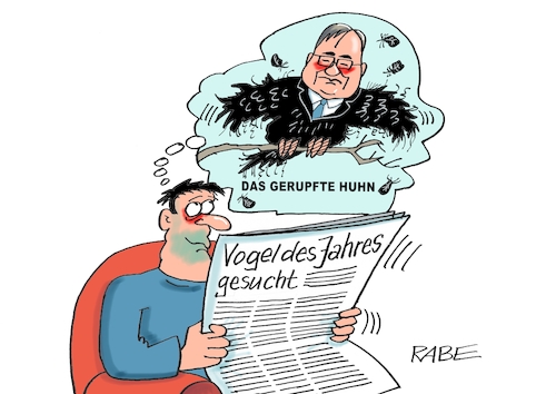 Cartoon: Huhn gerupft (medium) by RABE tagged bundestagswahl,wahlkampf,osten,ddr,ostbeauftragter,bundesregierung,recht,rabe,ralf,böhme,cartoon,karikatur,pressezeichnung,farbcartoon,tagescartoon,laschet,huhn,gerupft,unglücksrabe,pechvogel,lindner,vogel,habeck,ampel,jamaika,bundestagswahl,wahlkampf,osten,ddr,ostbeauftragter,bundesregierung,recht,rabe,ralf,böhme,cartoon,karikatur,pressezeichnung,farbcartoon,tagescartoon,laschet,huhn,gerupft,unglücksrabe,pechvogel,lindner,vogel,habeck,ampel,jamaika