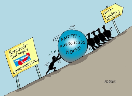 Landesparteitag AfD