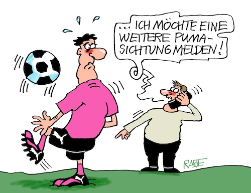 Pumasichtung Pumasichtung