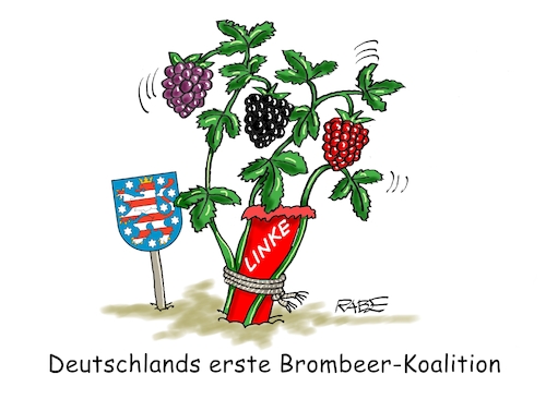 Cartoon: Stütze (medium) by RABE tagged landtagswahl,thüringen,septemper,cdu,afd,mario,voigt,bernd,höcke,tv,duell,fernsehduell,rabe,ralf,böhme,cartoon,karikatur,pressezeichnung,farbcartoon,tagescartoon,sachsen,wechselwähler,chamäleon,ministerpräsident,brombeere,brombeerkoalition,ministerpräsidentenwahl,ramelow,beerenstrauch,stütze,pfahl,landtagswahl,thüringen,septemper,cdu,afd,mario,voigt,bernd,höcke,tv,duell,fernsehduell,rabe,ralf,böhme,cartoon,karikatur,pressezeichnung,farbcartoon,tagescartoon,sachsen,wechselwähler,chamäleon,ministerpräsident,brombeere,brombeerkoalition,ministerpräsidentenwahl,ramelow,beerenstrauch,stütze,pfahl