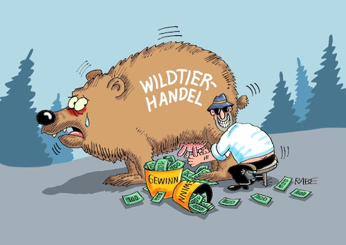 Cartoon: Wildtierhandel (medium) by RABE tagged artenschutz,artenschutzabkommen,kanada,montreal,wildtiere,wildtierhandel,umwelt,klima,rabe,ralf,böhme,cartoon,karikatur,pressezeichnung,farbcartoon,tagescartoon,bär,wilderer,euter,melker,wald,artenschutz,artenschutzabkommen,kanada,montreal,wildtiere,wildtierhandel,umwelt,klima,rabe,ralf,böhme,cartoon,karikatur,pressezeichnung,farbcartoon,tagescartoon,bär,wilderer,euter,melker,wald