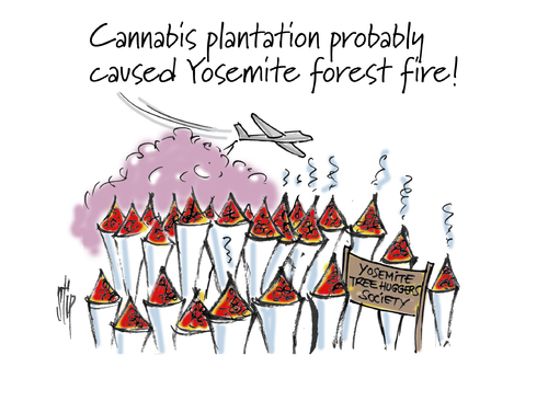 Cartoon: Yosemite Fire (medium) by stip tagged yosemite,fire,cannabis,plantation,yosemite,fire,cannabis,plantation