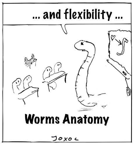 Cartoon: Worms Anatomy (medium) by joxol tagged worms,anatomy,class,school,education,animal,pisa