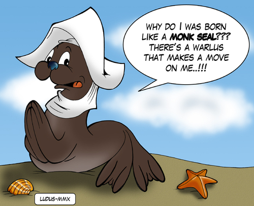 Cartoon: Monk seal (medium) by Ludus tagged seal