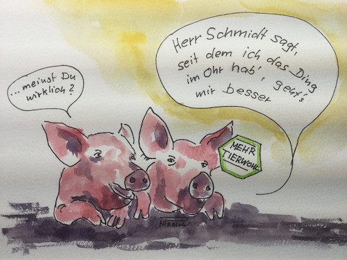 Cartoon: Herr Schmidt der Bessermacher (medium) by Pralow tagged massentierhaltung,schweinefleisch,welternährung,vegetarier,veganer,konsumverhalten,massentierhaltung,schweinefleisch,welternährung,vegetarier,veganer,konsumverhalten,schweine,ferkel