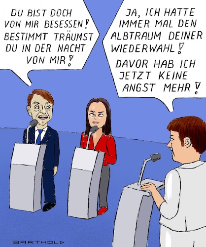 Der Wahlporzellanzertepperer