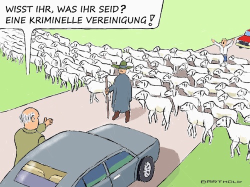 Cartoon: Kriminelle Vereinigung (medium) by Barthold tagged letzte,generation,klimabewegung,einstufung,kriminelle,vereinigung,verhältnismäßigkeit,stark,fraglich,straftatbestand,nötigung,schafherde,überquert,straße,autofahrer,schimpft,cartoon,karikatur,barthold,letzte,generation,klimabewegung,einstufung,kriminelle,vereinigung,verhältnismäßigkeit,stark,fraglich,straftatbestand,nötigung,schafherde,überquert,straße,autofahrer,schimpft,cartoon,karikatur,barthold