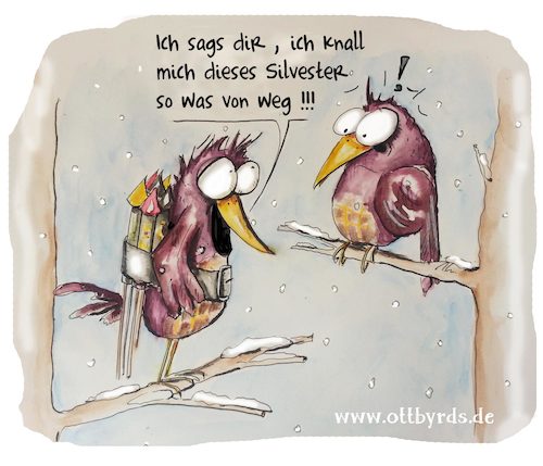 Cartoon: Silvester (medium) by OTTbyrds tagged silvester,knallerei,böller,neujahr,feuerwerk,raketen