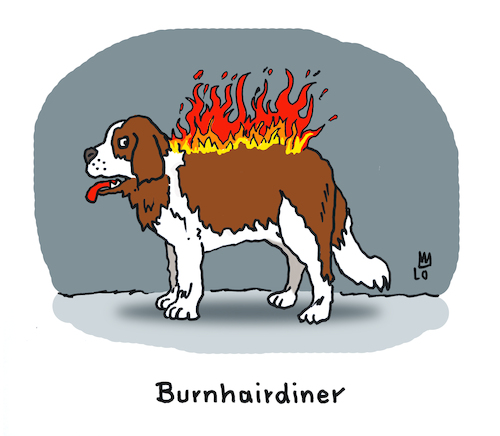 Cartoon: Burnhairdiner (medium) by Lo Graf von Blickensdorf tagged hund,bernhardiner,burnhairdiner,wortspiel,feuer,kalauer,cartoon,hund,bernhardiner,burnhairdiner,wortspiel,feuer,kalauer,cartoon
