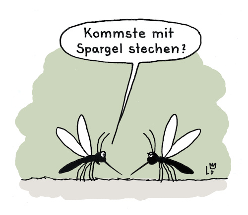 Spargelzeit