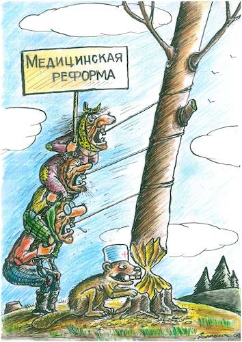 Cartoon: medical reform (medium) by vadim siminoga tagged reform,medicine,ukraine,senior,citizens,teeth,beaver,nature
