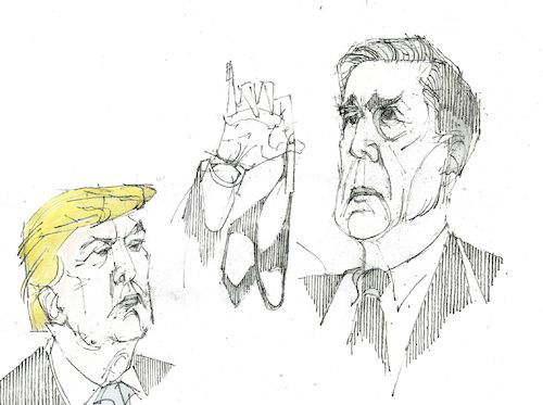 Cartoon: schwer vorstellbar ! (medium) by herranderl tagged trump,und,konsorten,sonderermittler,mueller