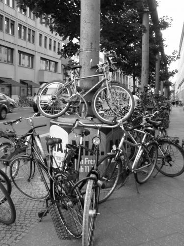 Cartoon: Helmpflicht (medium) by Wessine tagged fahrrad,straße,stadt