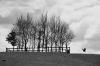Cartoon: upon the hill (small) by Wessine tagged bäume,vögel,landschaft,england