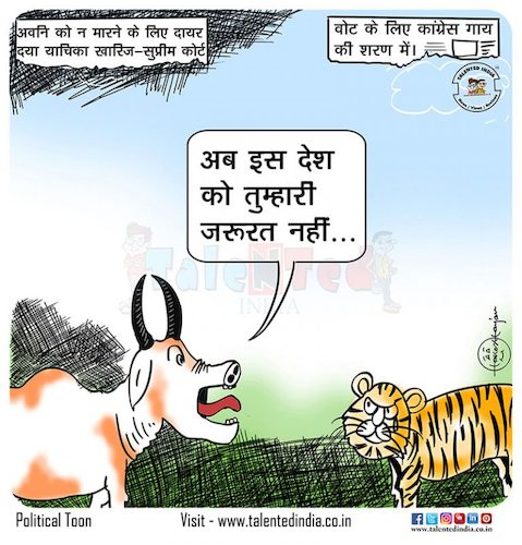 Cartoon: Cow Vote No Tigress (medium) by Talented India tagged cartoon,animal,cartoonanimals,cow,tigertalen,ted,talented,talentedindia,talentedview