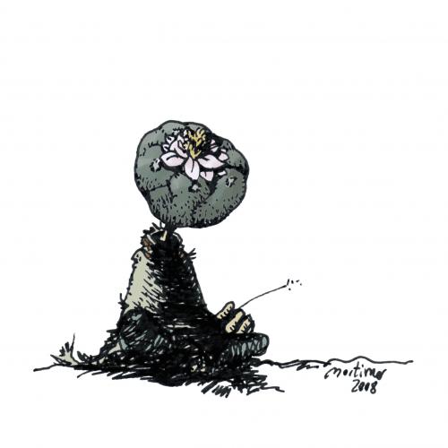 Cartoon: Peyote Man (medium) by mortimer tagged trees,nature,mortimer,treebeing,peyote,mescal,mexico,psychodelic