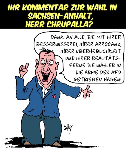 Cartoon: AfD sagt Danke (medium) by Karsten Schley tagged wahlen,sachsen,anhalt,politik,chrupalla,demokratie,besserwessis,wahlen,sachsen,anhalt,politik,chrupalla,demokratie,besserwessis