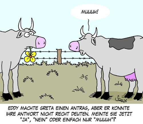 Cartoon: Antrag (medium) by Karsten Schley tagged liebe,heiraten,singles,männer,frauen,tiere,kühe,natur,liebe,heiraten,singles,männer,frauen,tiere,kühe,natur