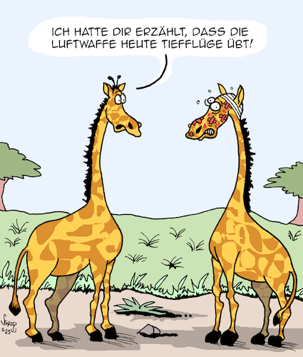 Die Luftwaffe Die Luftwaffe