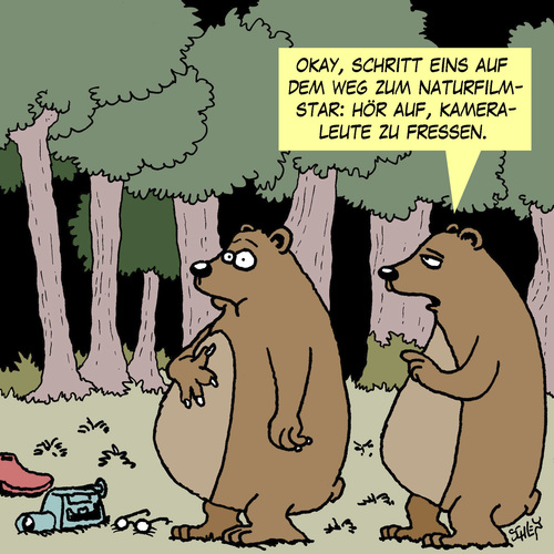 Cartoon: Filmstar (medium) by Karsten Schley tagged natur,tiere,wildnis,tv,fernsehen,unterhaltung,prominente,bären,wald,natur,tiere,wildnis,tv,fernsehen,unterhaltung,prominente,bären,wald