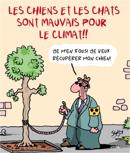 Cartoon: Les Chats et les Chiens (medium) by Karsten Schley tagged animaux,climat,environnement,carnivores,chiens,aveugles,les,animaux,climat,environnement,carnivores,chiens,aveugles