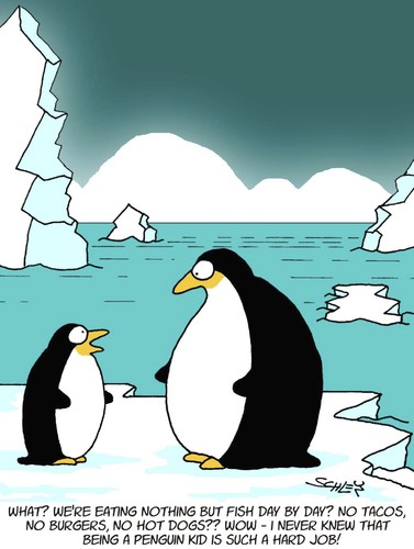 Cartoon: No Tacos for Penguins (medium) by Karsten Schley tagged food,nutrition,kids,youth,parents,parenthood,childhood,animals,nature,wildlife,pinguin,tiere,eis,kalt,natur,umwelt,essen,ernährung,lebensraum,burgers,hamburger,fast food,fisch,familie,gesundheit,fast,food