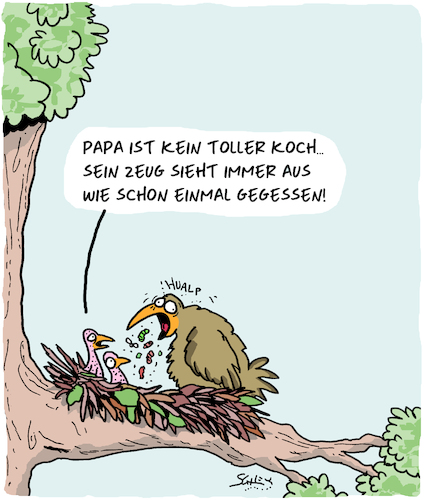 Cartoon: Papa kocht... (medium) by Karsten Schley tagged tiere,vögel,jungtiere,mütter,väter,familien,kochen,ernährung,natur,tiere,vögel,jungtiere,mütter,väter,familien,kochen,ernährung,natur