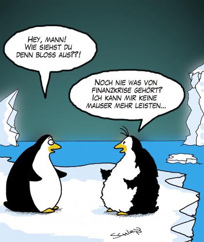Cartoon: Pleite - Pinguin (medium) by Karsten Schley tagged finanzkrise,wirtschaft,jobs,märkte,business,tiere,natur