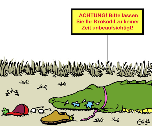 Cartoon: WARNUNG! (medium) by Karsten Schley tagged tiere,sicherheit,krokodile,natur,tiere,sicherheit,krokodile,natur