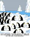Cartoon: Pinguine (small) by Karsten Schley tagged arktis,globale,erwärmung,tiere,natur