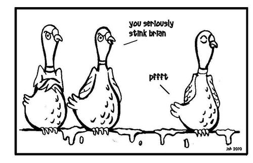 Cartoon: pigeon suicides (medium) by urbanmonk tagged birds,animals