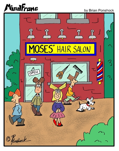 Cartoon: MINDFRAME (medium) by Brian Ponshock tagged the,hairdresser